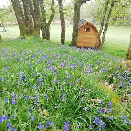Hotel Dinas Llanbedr  Exteriér fotografie