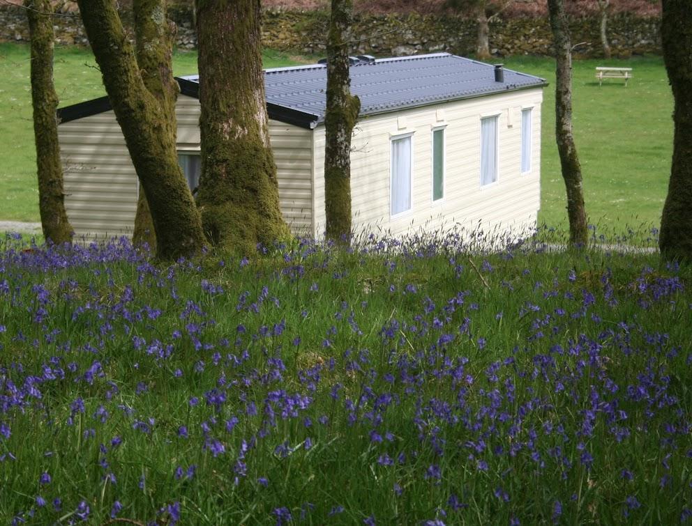 Hotel Dinas Llanbedr  Exteriér fotografie